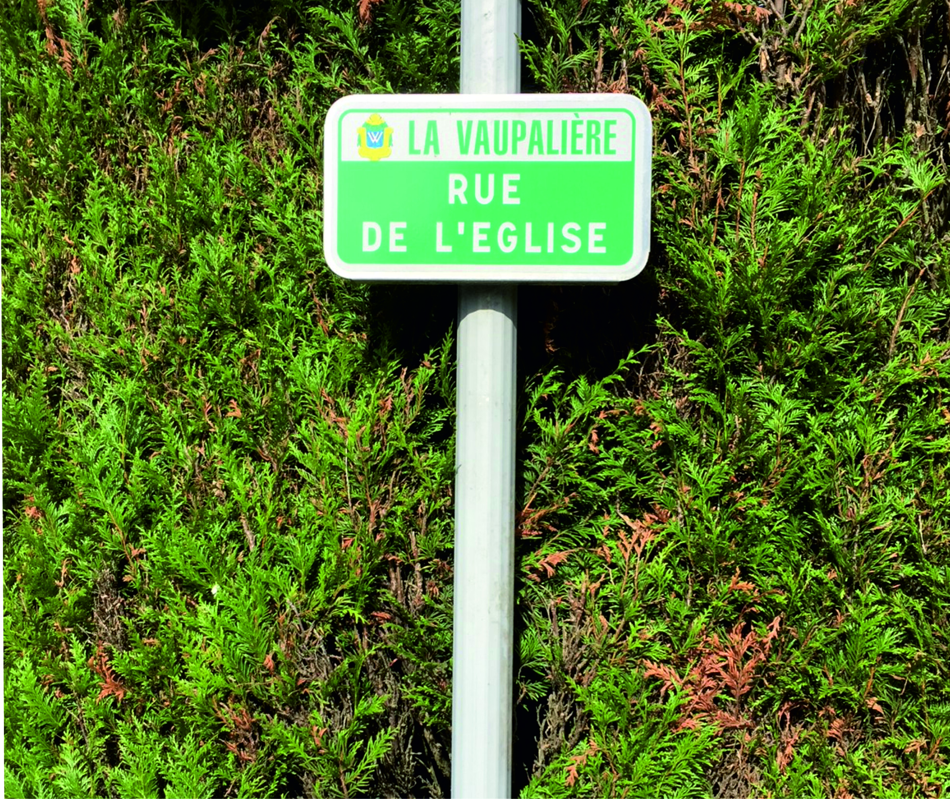 Création d'une plaque de rue pour la Mairie de La Vaupalière - Visuel